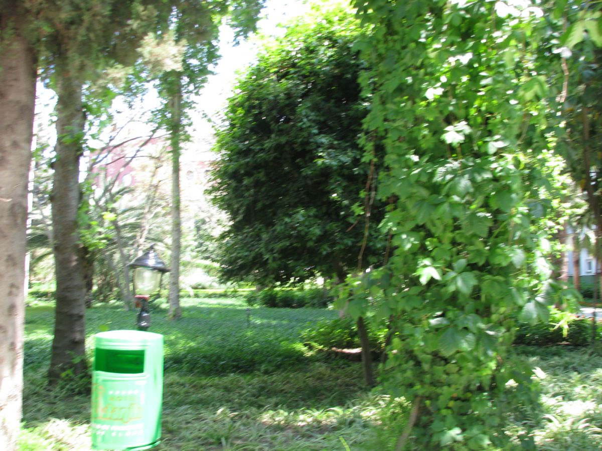 imagini hotel DELPHIN BOTANIK